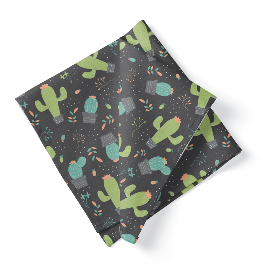 302_Cactus_gris-vert