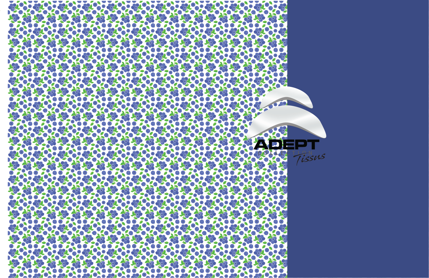 Duo-5_303_Bleuet Bleu_SITE