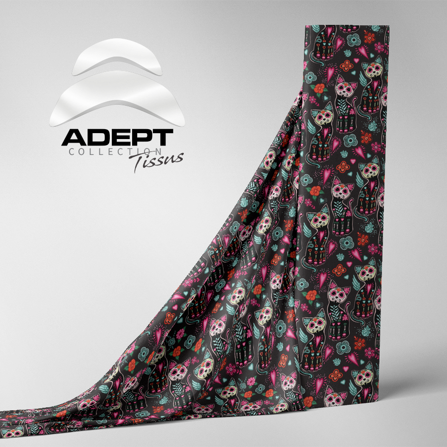 400_Jour des Morts_Chat Halloween