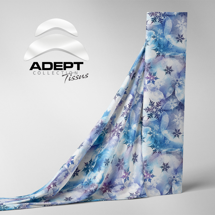 476_Flocons de glace