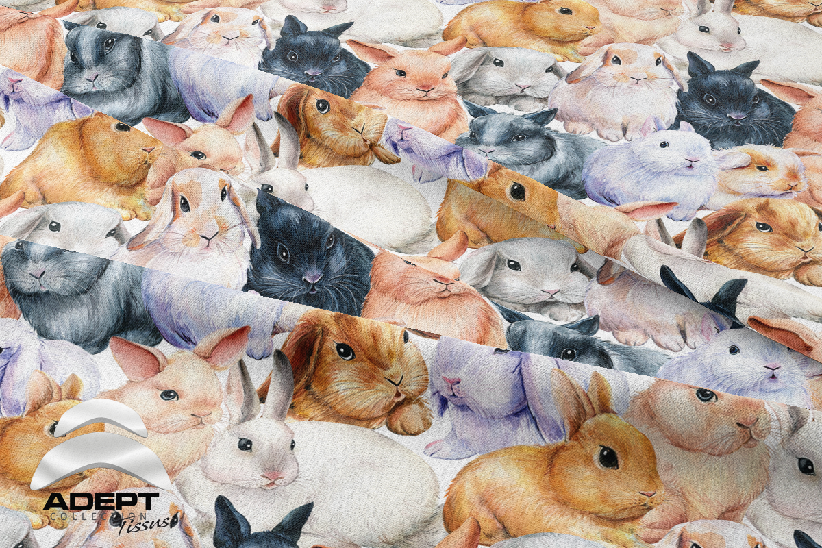 495_Lapins Lapinnes Blanc Beige Gris_2