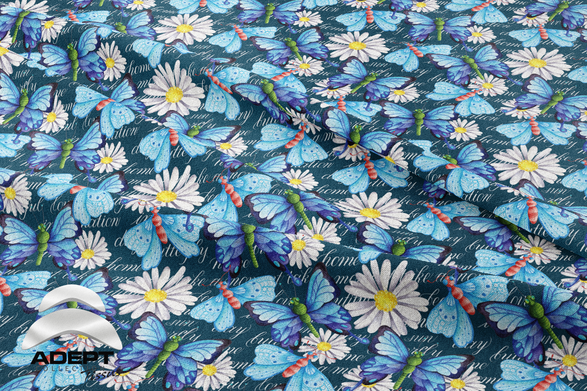 526_Papillon Marguerite Bleu Blanc_2